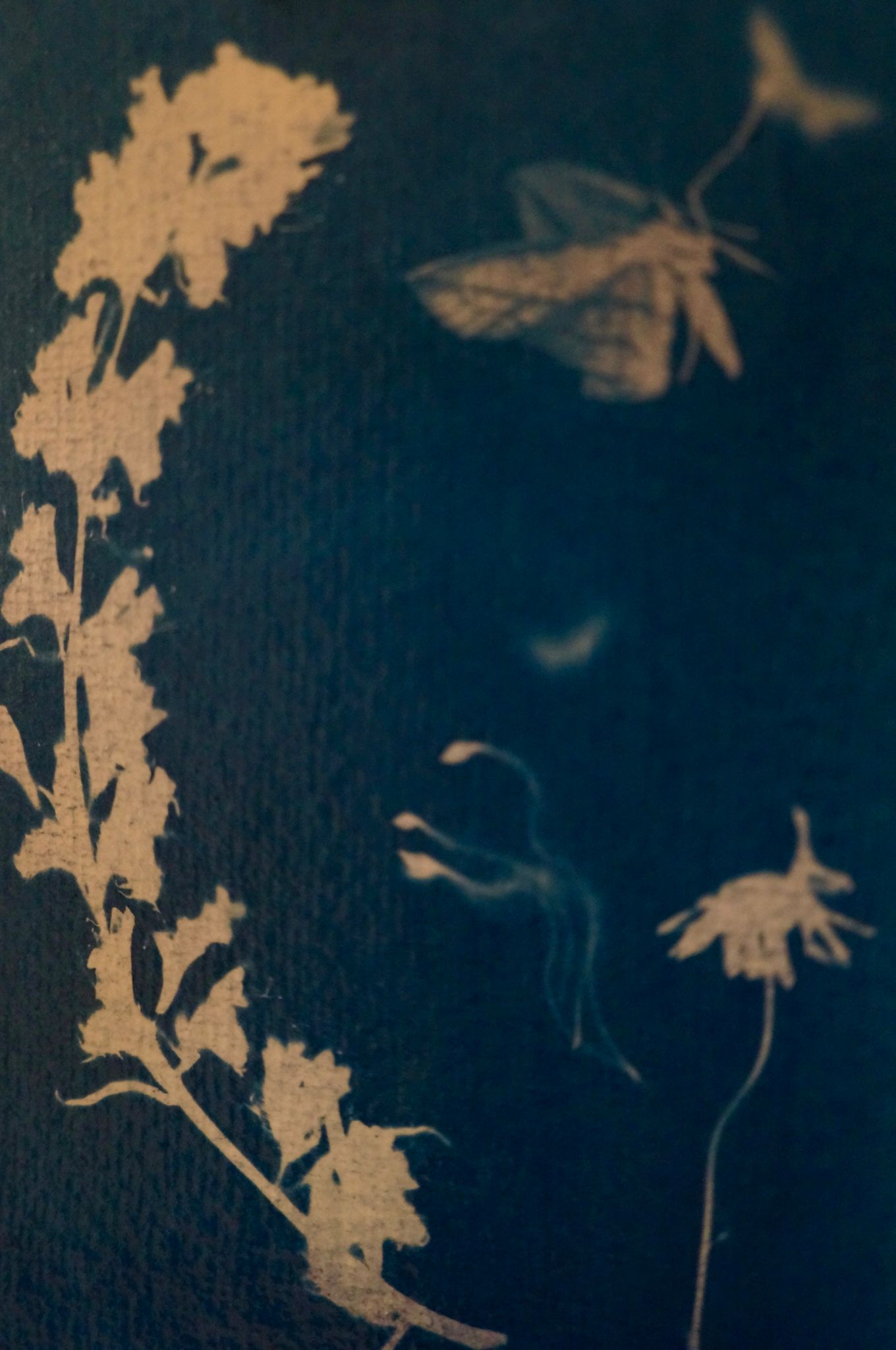 baludruck1 Franz&Frida Atelier