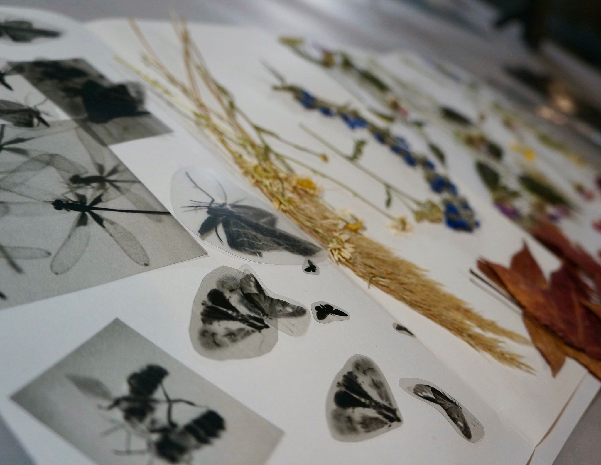 blaudruck11 Franz&Frida Atelier