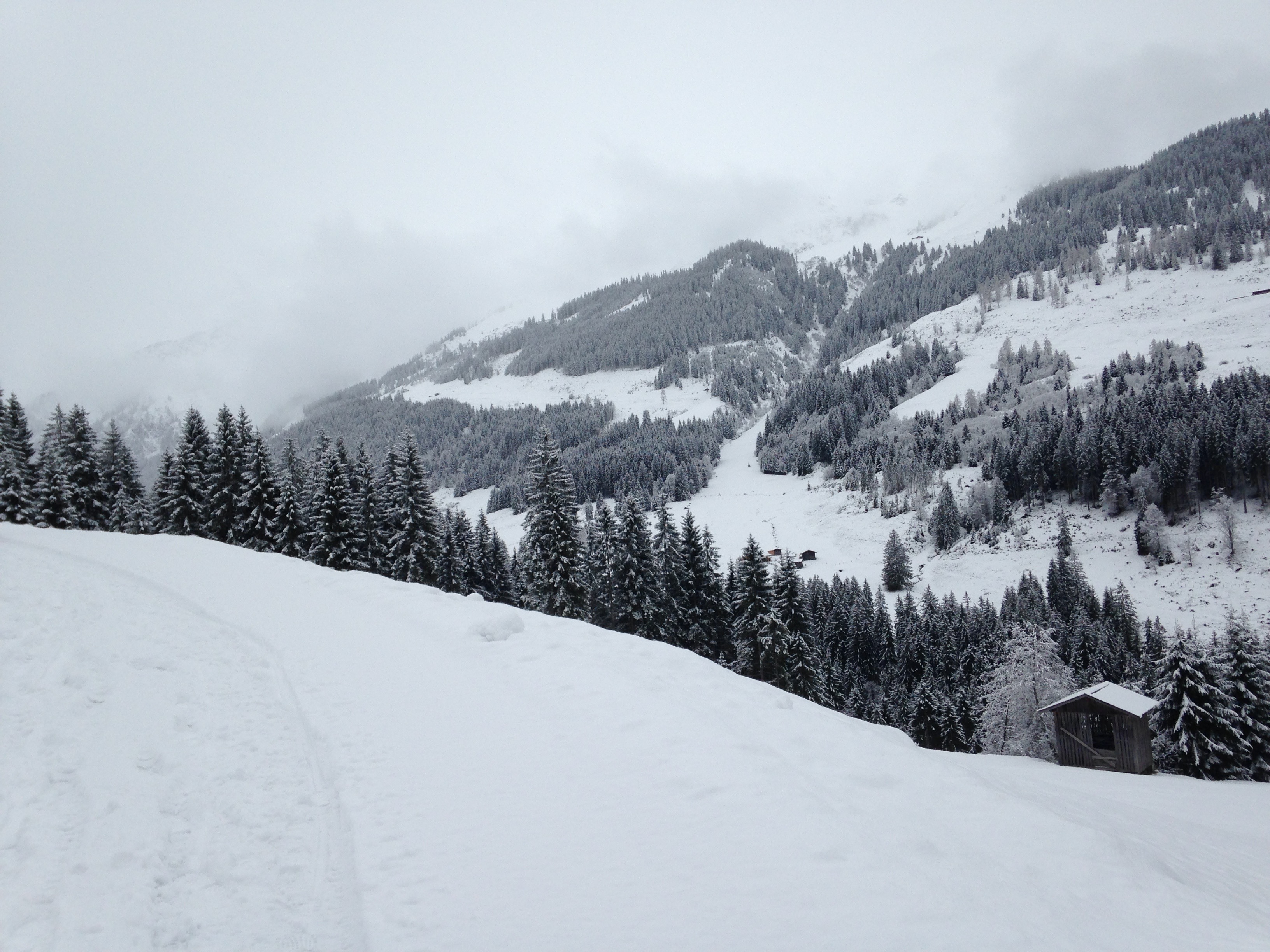 Hallo Welt! Franz&Frida Atelier